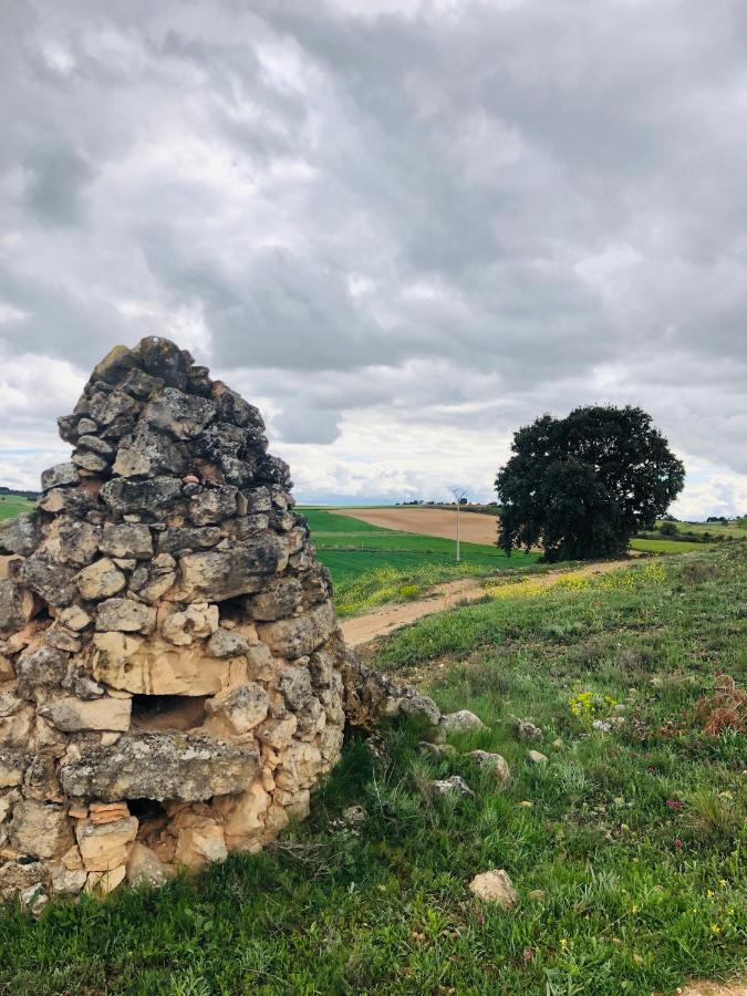 Apartamentos Ribera Del Duero Las Escuelas Vadocondes Екстер'єр фото